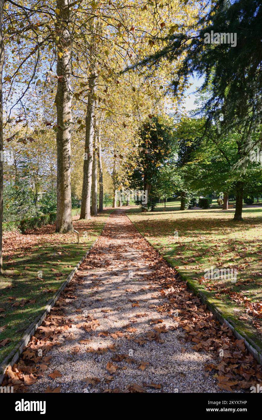 Autunno a Loyola, Azpeitia, Guipuzcoa, Paese Basco, Euskadi, Euskal Herria, Spagna. Foto Stock