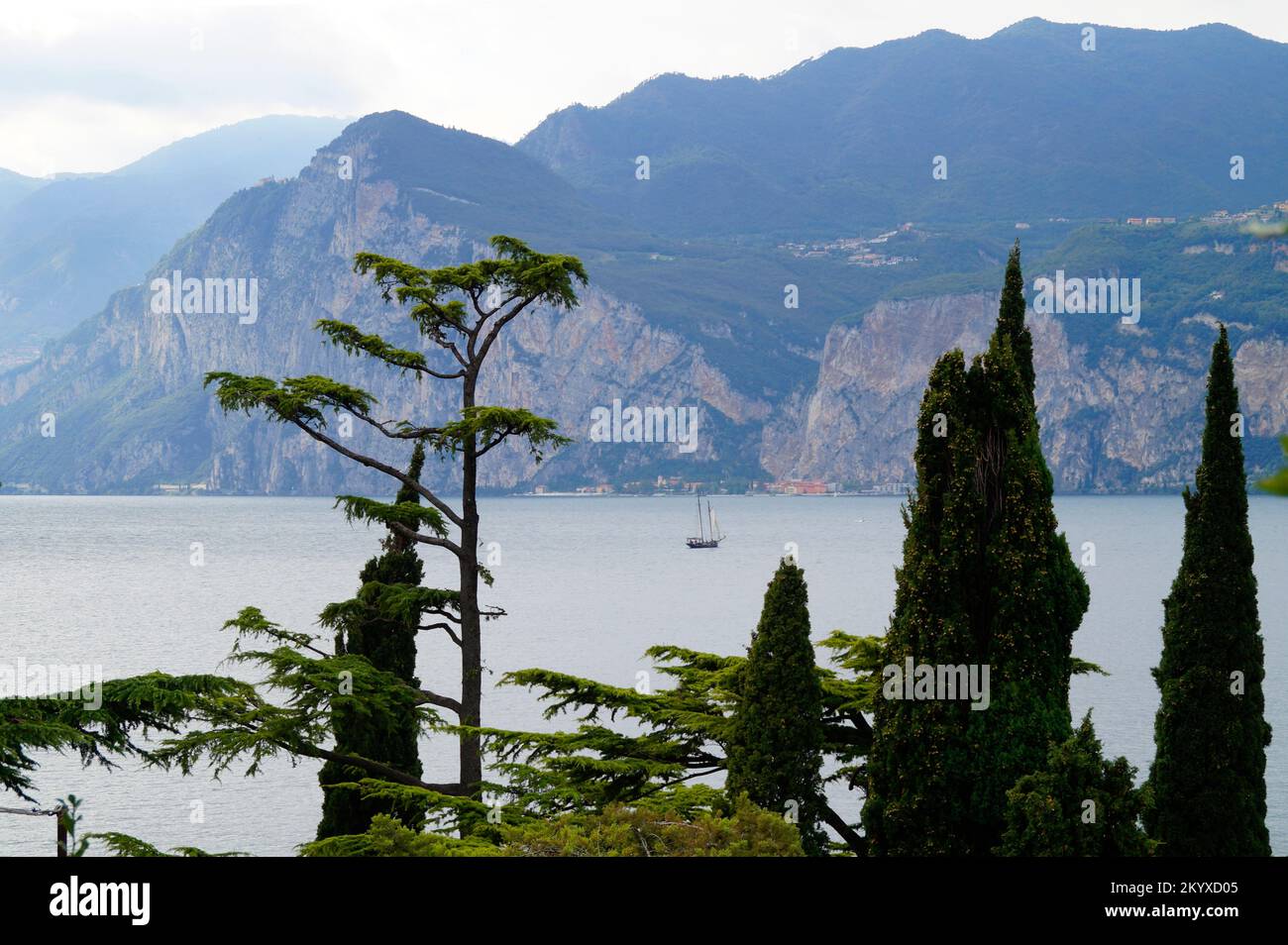 Paesaggio mediterraneo panoramico con splendidi alberi tropicali sul lago di Garda nelle Alpi italiane a Malcesine (Lombardia, Italia) Foto Stock