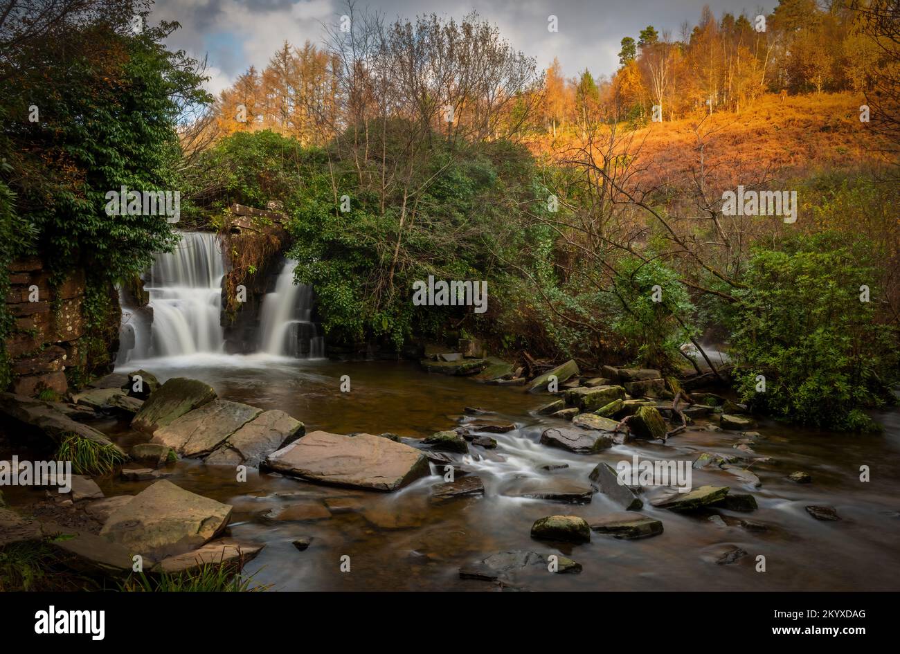 Autunno alla cascata nei boschi di Penlergare a Swansea, Regno Unito Foto Stock