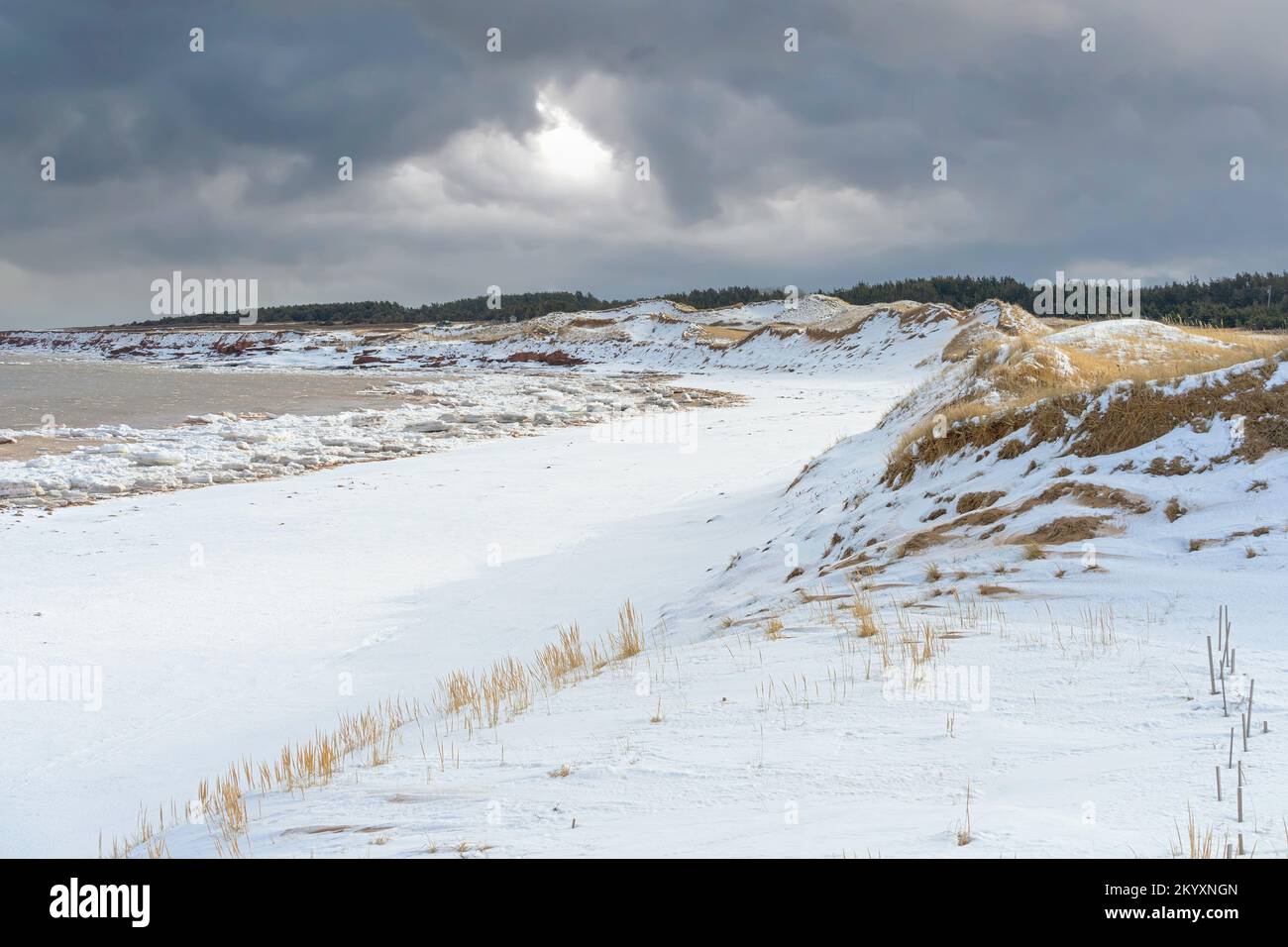 Cavendish Beach nel Parco Nazionale PEI, Isola del Principe Edoardo, Canada. Foto Stock