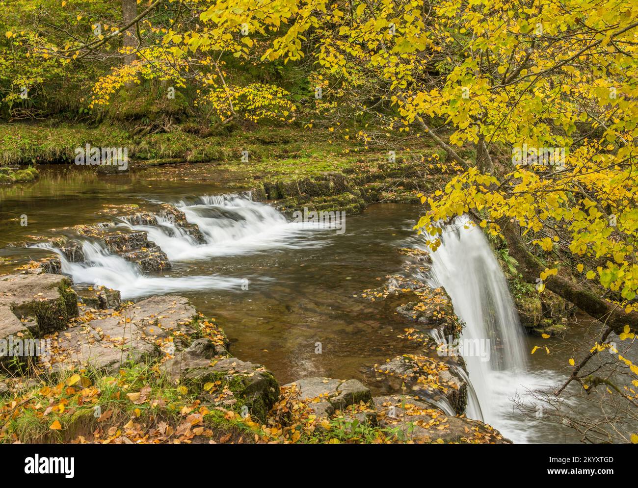 Le Upper Ddwli Falls sul fiume Neath nella vale di Neath, nel Galles meridionale in autunno Foto Stock