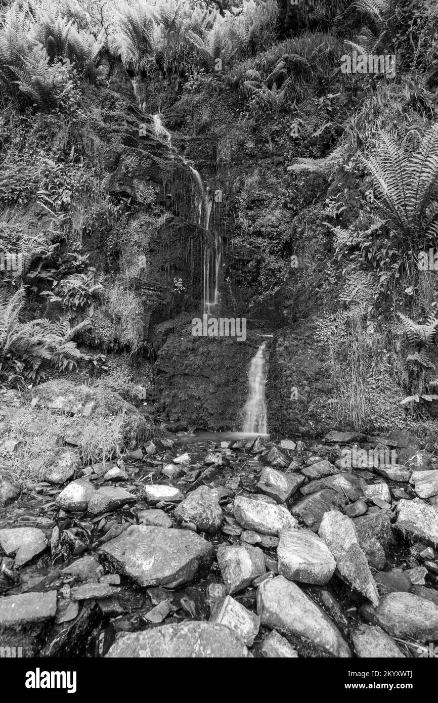 Lunga esposizione della cascata di Hollowbrook sulla costa sud-occidentale da Woody Bay alla foce di Heddons in Devon Foto Stock