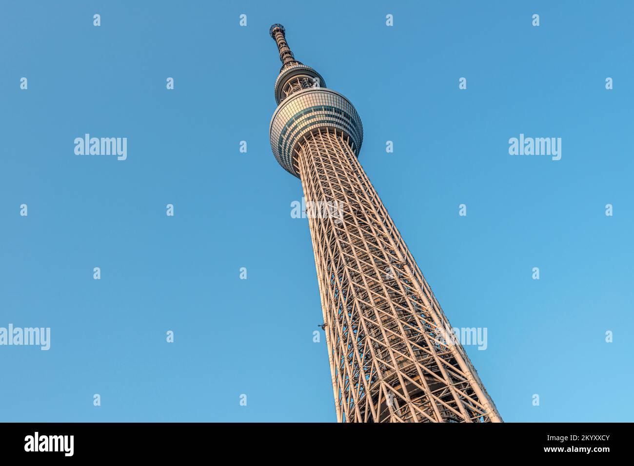 Tokyo Skytree (Tokyo Sukaitsurī) e torre di osservazione a Sumida, primo piano, Tokyo, Giappone Foto Stock