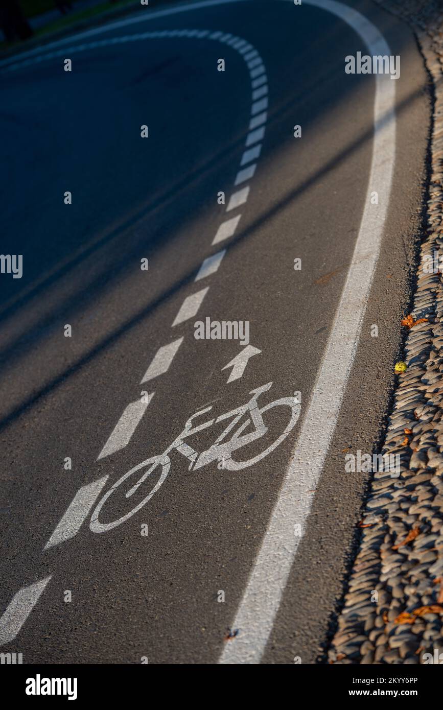 Strada asfaltata con piste ciclabili Foto Stock