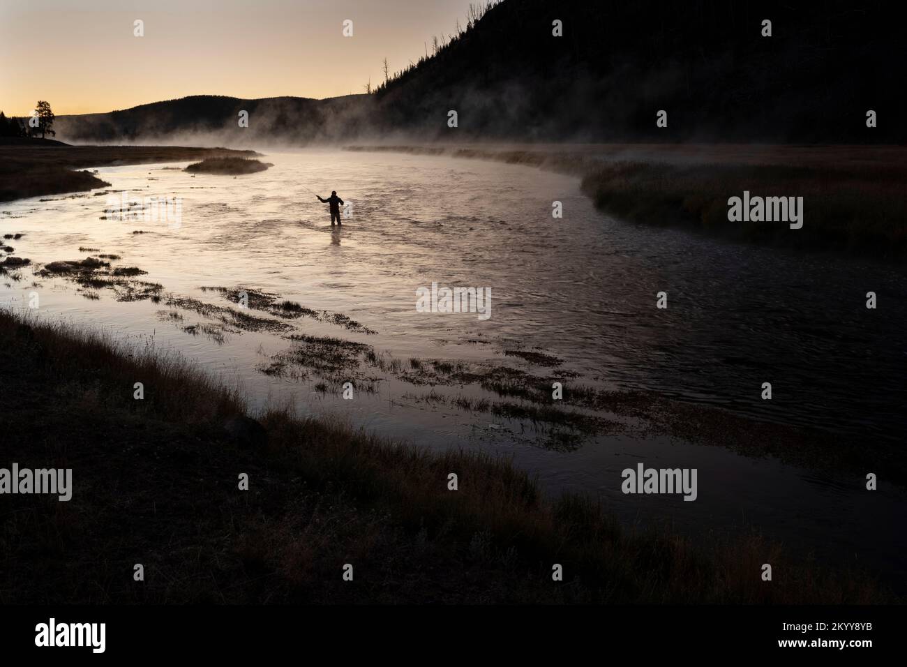 WY05144-00....Wyoming - Fisherman all'alba lungo il fiume Madison nel Parco Nazionale di Yellowstone. Foto Stock