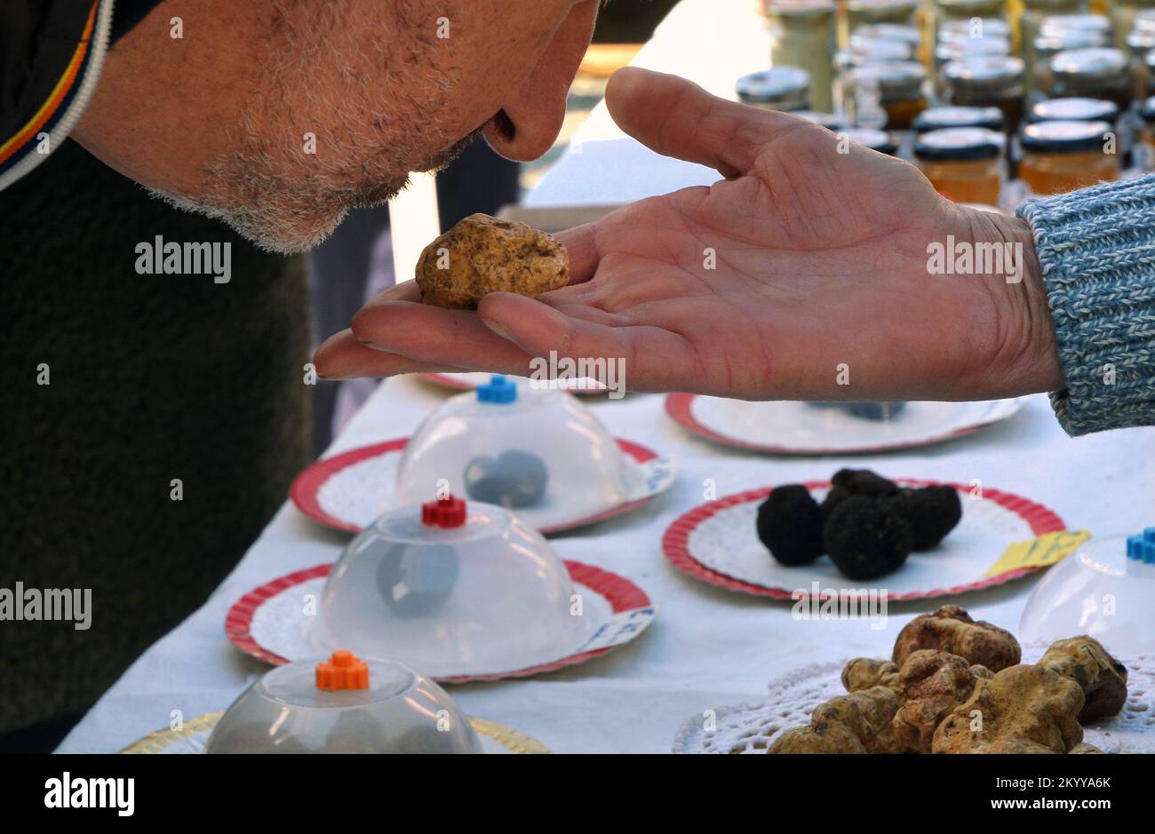 Un acquirente odora un tartufo bianco sul mercato italiano. Foto Stock