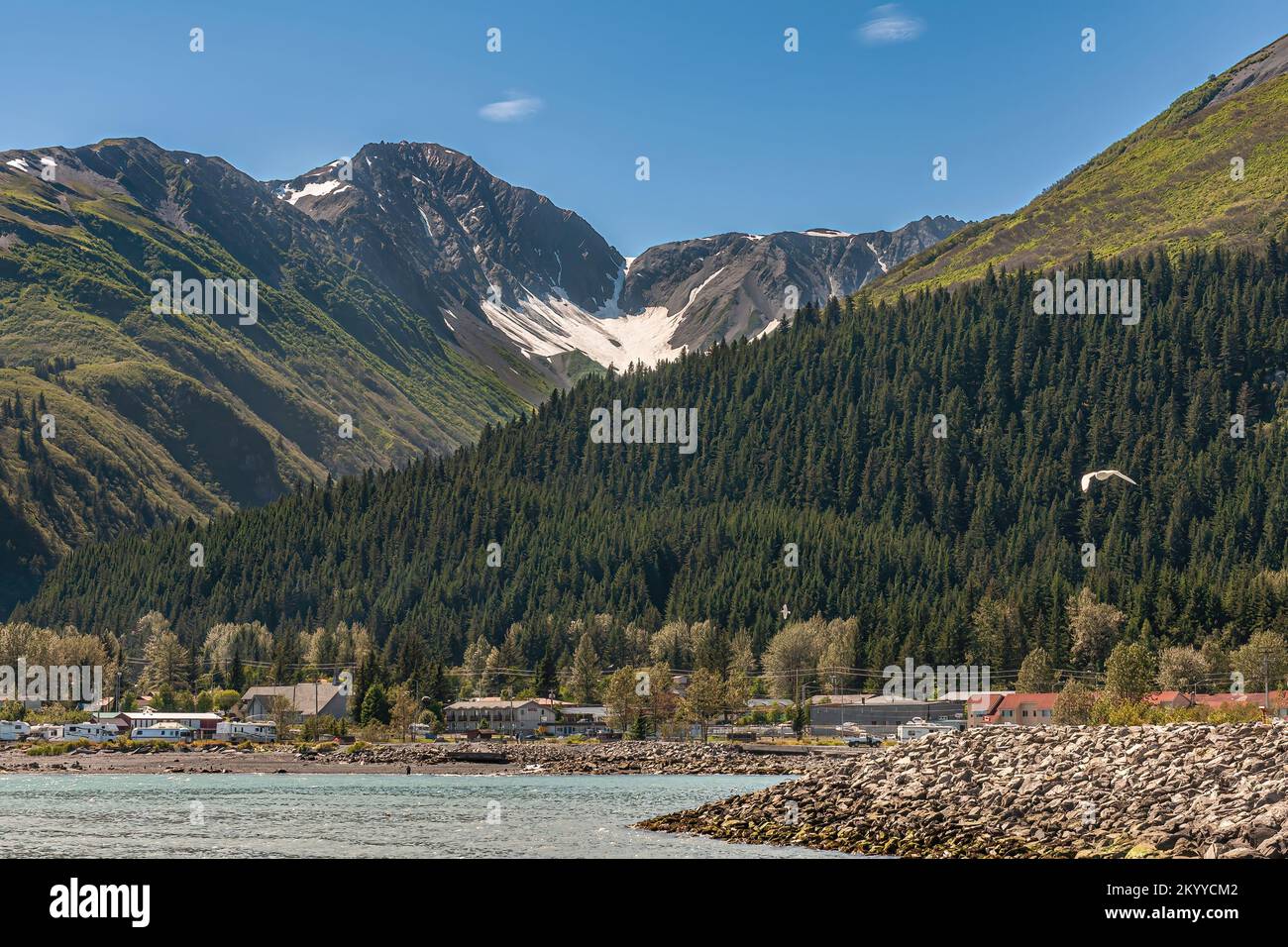 Seward, Alaska, USA - 22 luglio 2011: Resurrection Bay paesaggio appena a sud del porto mostra Bayside appartamenti tetti rossi di fronte ai fianchi boschiti di g Foto Stock