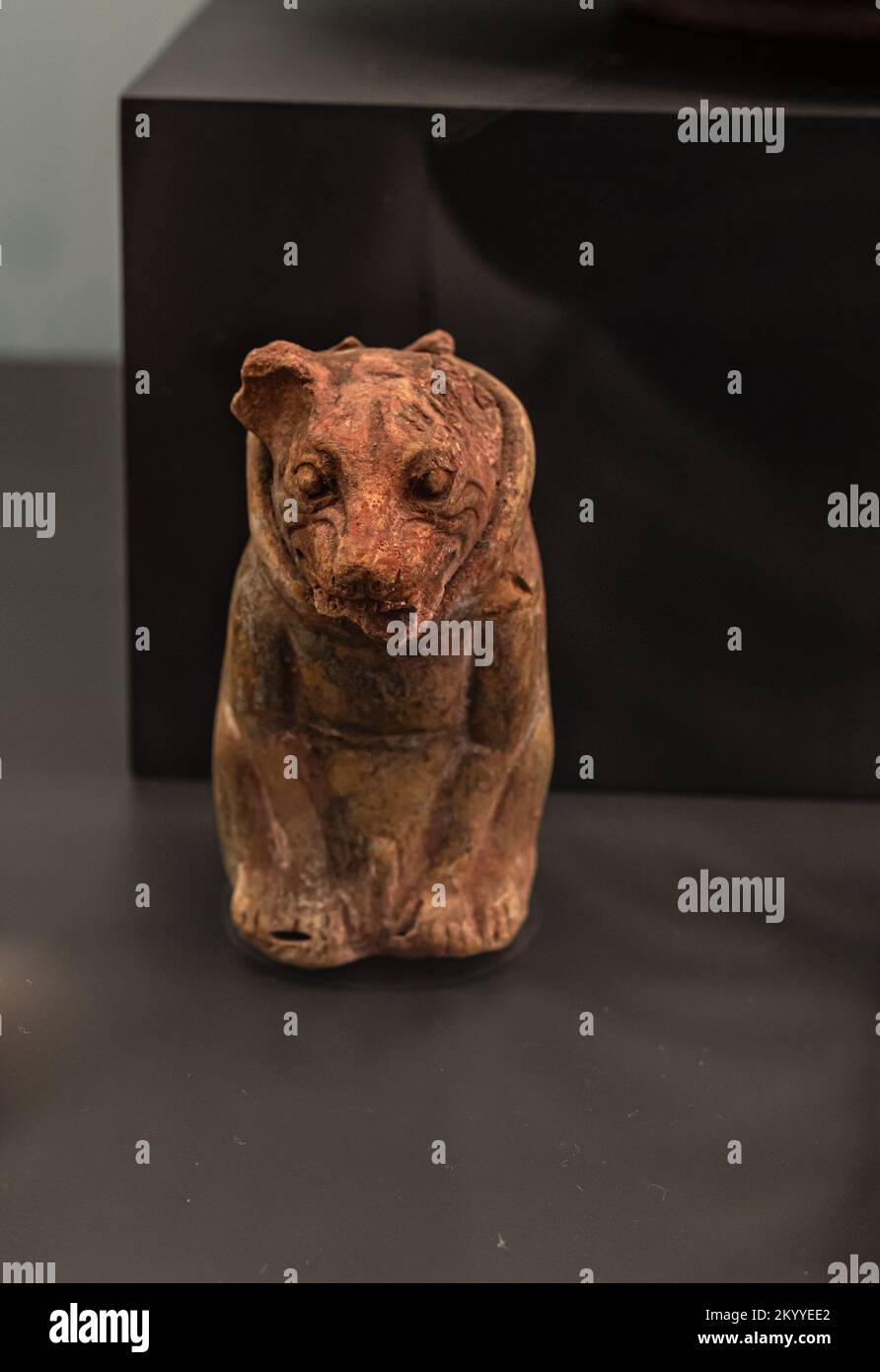 Figurina maya a forma di cane. Tardo classico, Campeche, Messico. Foto Stock