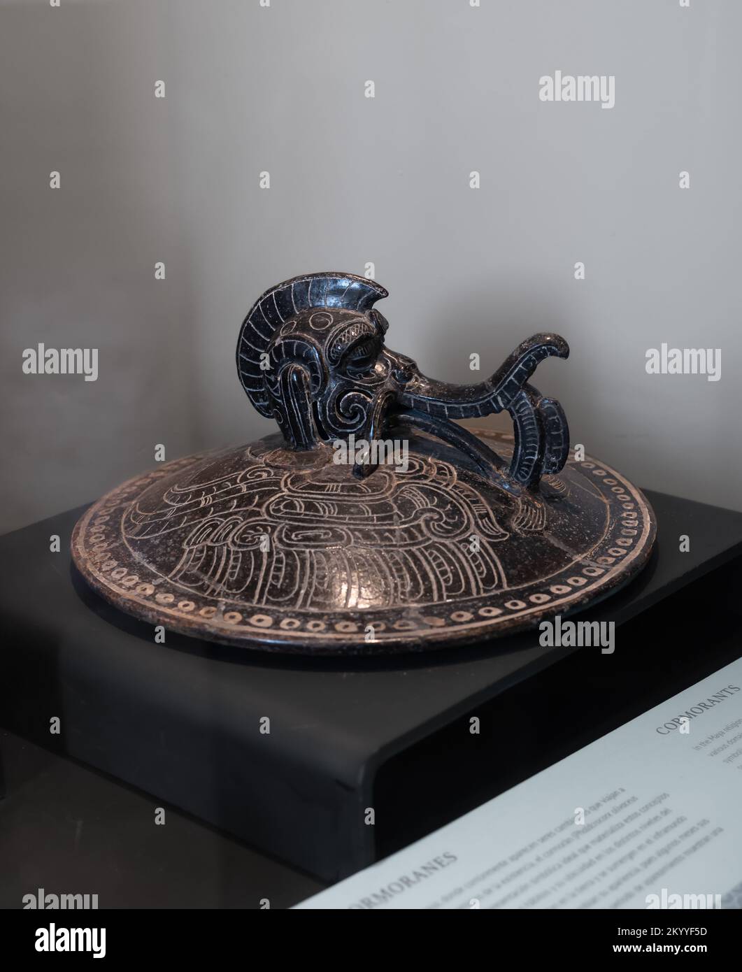 Coperchi di vasi Maya raffiguranti un Cormorano. Classico antico, Campeche, Messico. Foto Stock