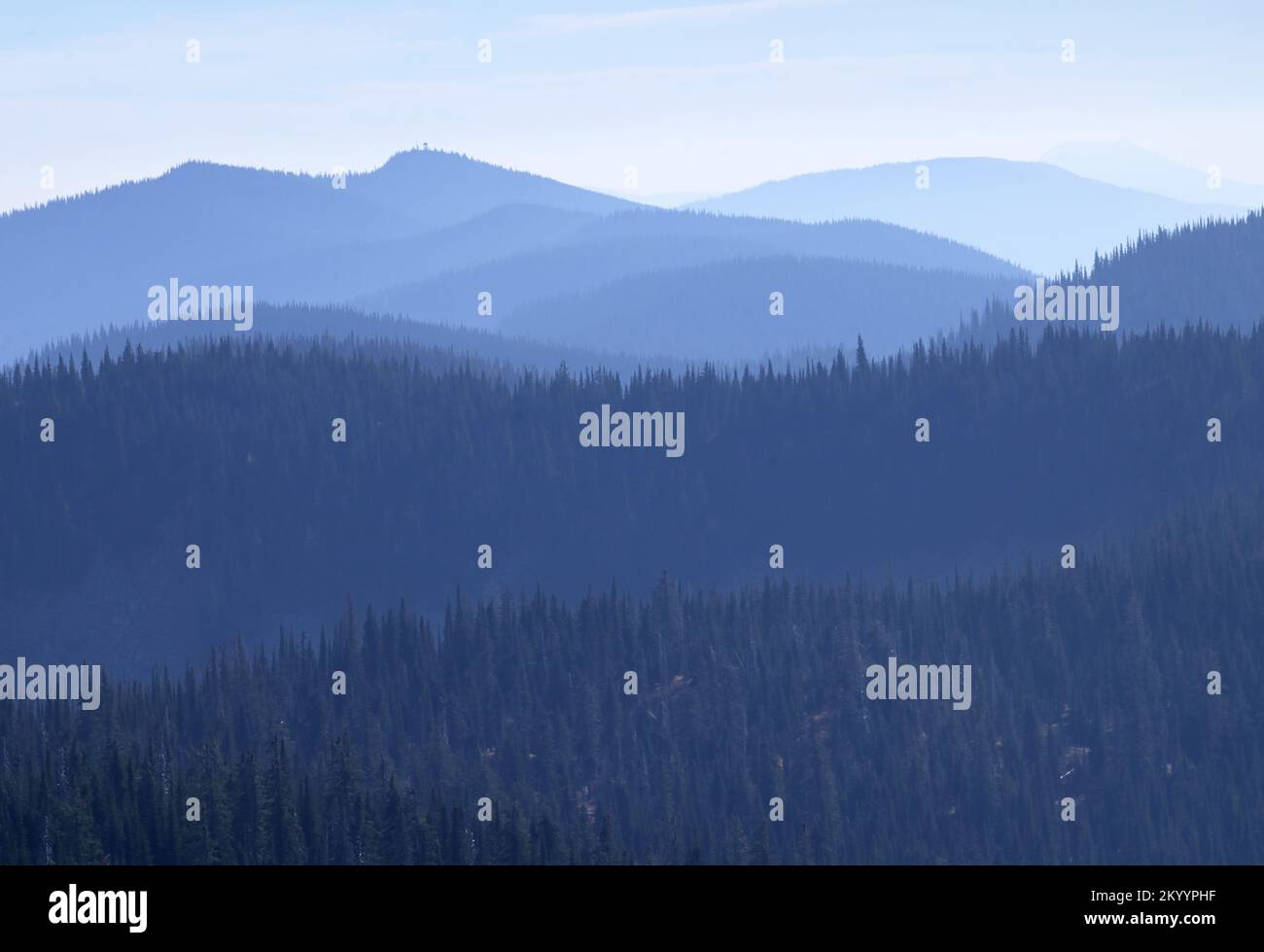 Sud Purcell Mountains in estate. Kootenai National Forest, Montana nord-occidentale. (Foto di Randy Beacham) Foto Stock