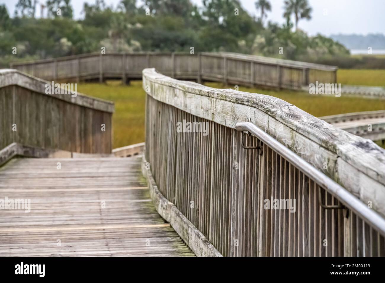 Passeggiata sul fiume Tolomato sulla palude di sale a Palencia in una mattinata nebbiosa all'alba a St Augustine, Florida. (USA) Foto Stock