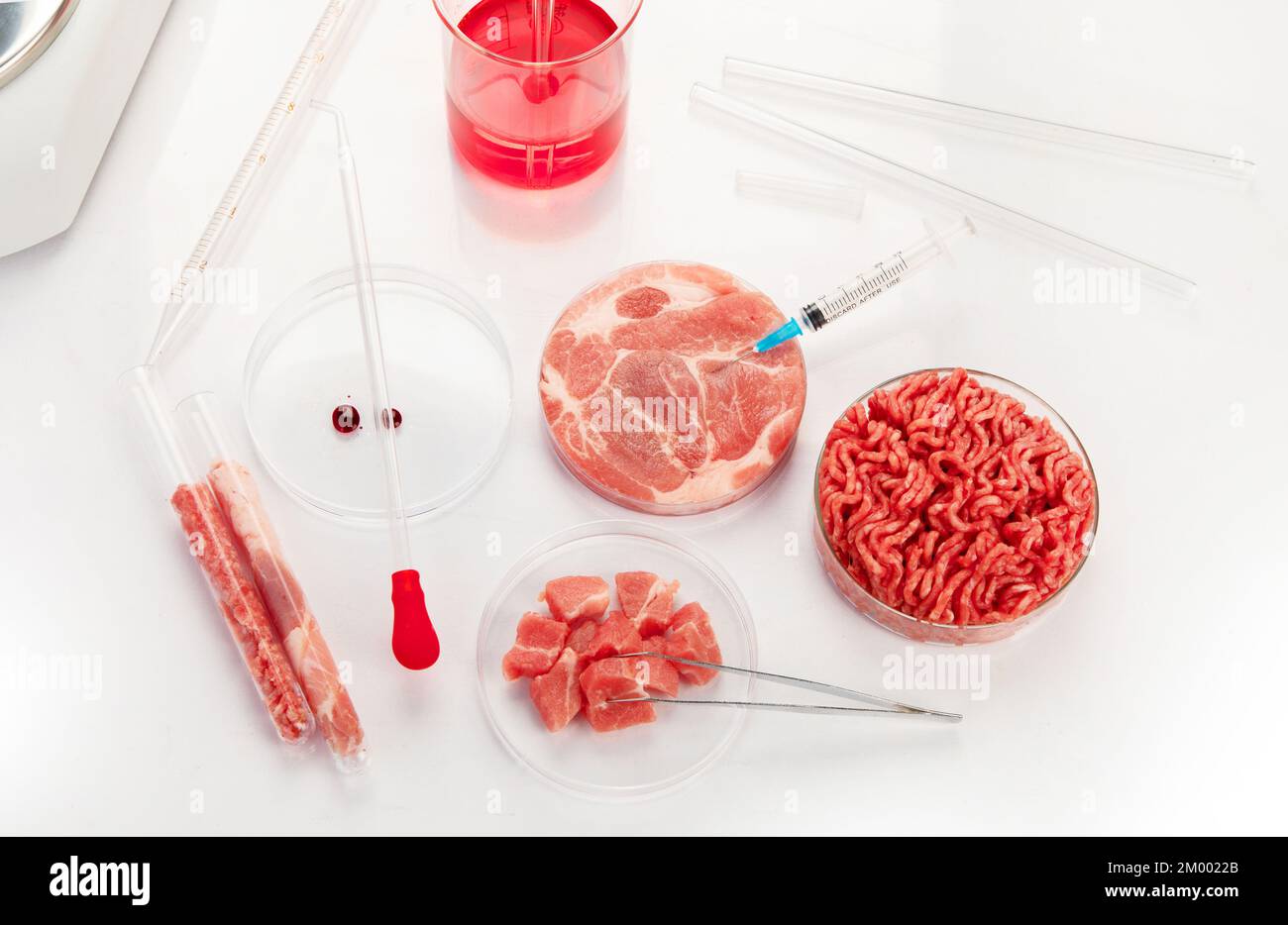 Capsula di Petri con carne coltivata in laboratorio. Concetto di carne pulita coltivata Foto Stock