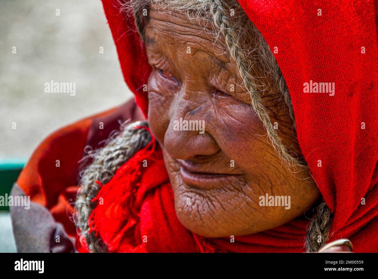 Vecchia donna tibetana, lungo la strada da Tsochen a Lhasa, Tibet occidentale, Asia Foto Stock