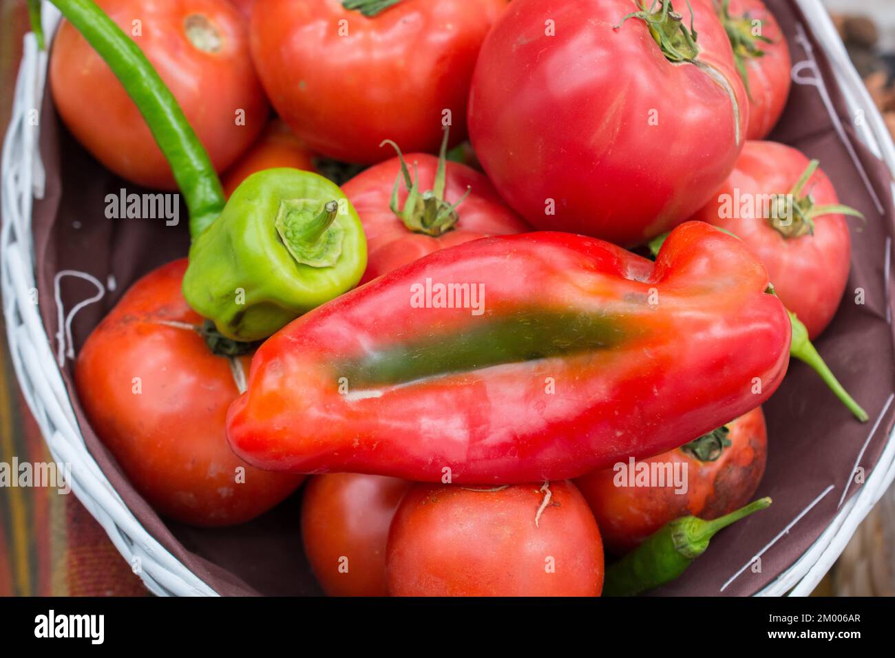 Red Pepper Plant trovato al mercato di stand Foto Stock