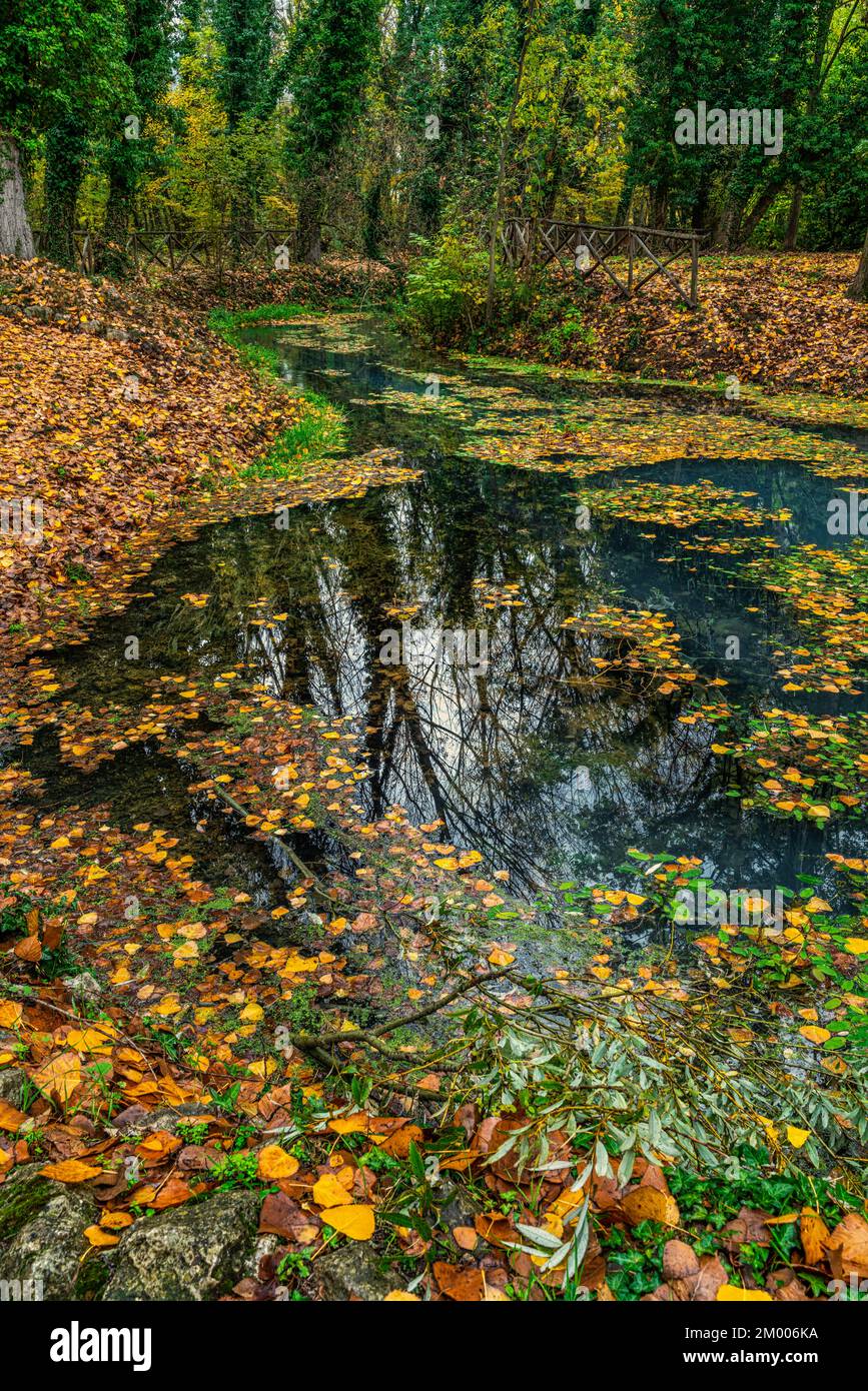 Le foglie del caldo colore autunnale caddono in una pozza d'acqua. Paesaggio autunnale di un bosco. Raiano, Provincia dell'Aquila, Abruzzo, Italia, Europa Foto Stock