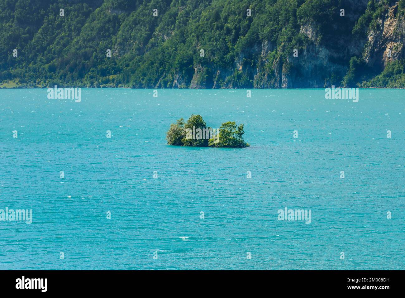 Piccola isola di erba cipollina nelle acque turchesi del lago Walen, Canton St. Gallen, Svizzera, Europa Foto Stock