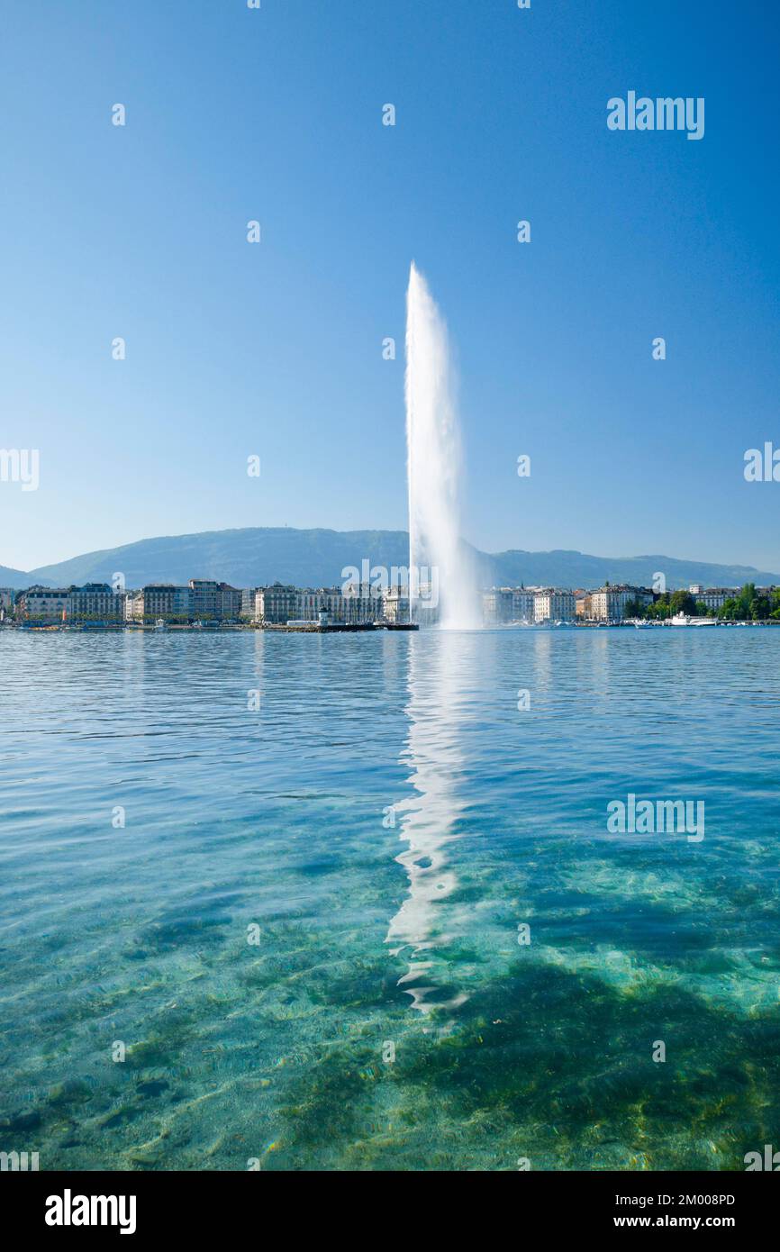 Il Jet d'eau, il punto di riferimento nel bacino del Lago di Ginevra, Cantone di Ginevra, Svizzera, Europa Foto Stock