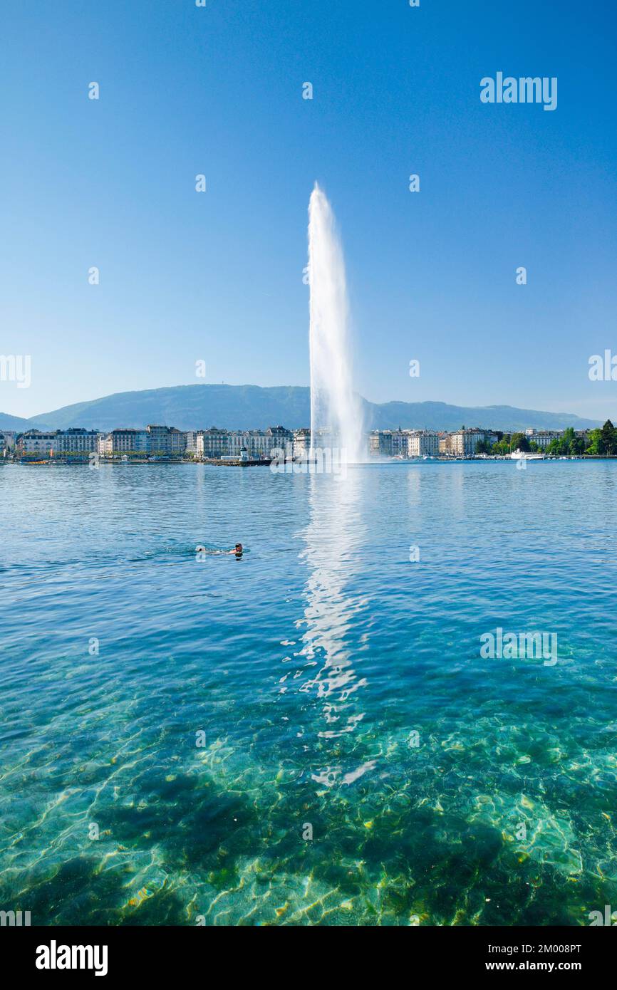 Uomo che nuota nelle acque limpide del Lago di Ginevra con il Jet d'eau sullo sfondo, il punto di riferimento nel bacino del Lago di Ginevra, Canton Ginevra, Svizzera Foto Stock