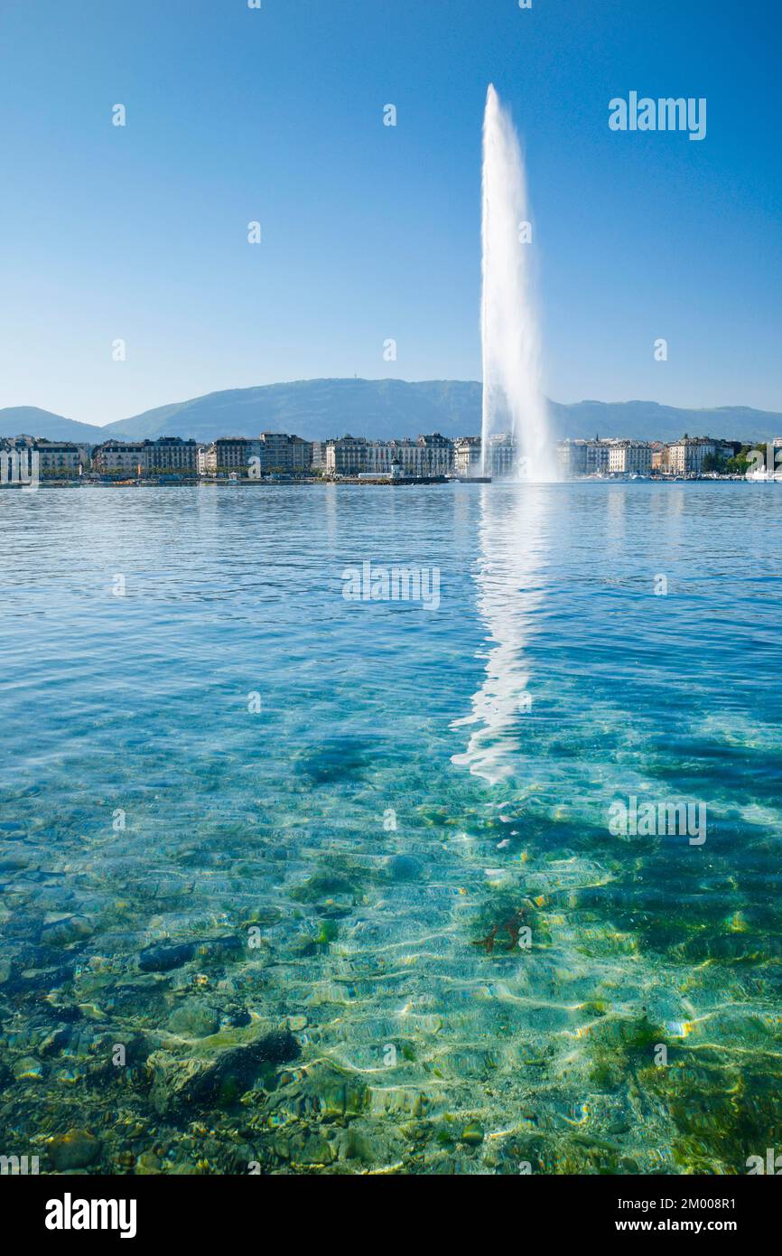 Il Jet d'eau, il punto di riferimento nel bacino del Lago di Ginevra, Cantone di Ginevra, Svizzera, Europa Foto Stock