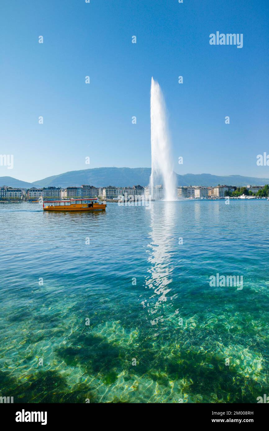 Il Jet d'eau, il punto di riferimento nel bacino del Lago di Ginevra, Cantone di Ginevra, Svizzera, Europa Foto Stock