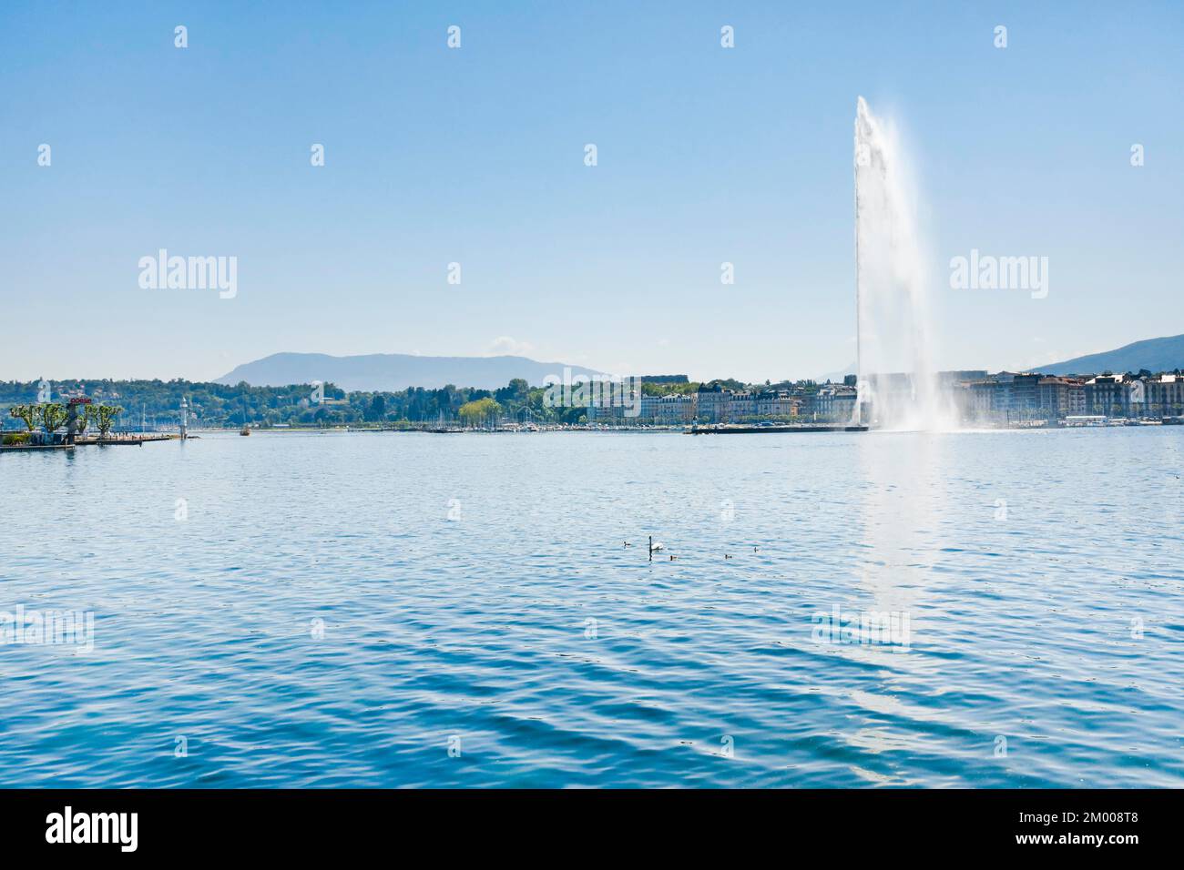 Il Jet d'eau, il punto di riferimento nel bacino del Lago di Ginevra, Cantone di Ginevra, Svizzera, Europa Foto Stock