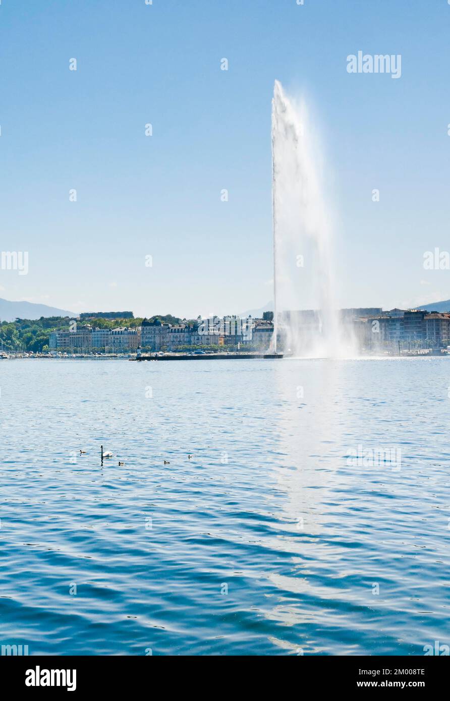 Il Jet d'eau, il punto di riferimento nel bacino del Lago di Ginevra, Cantone di Ginevra, Svizzera, Europa Foto Stock