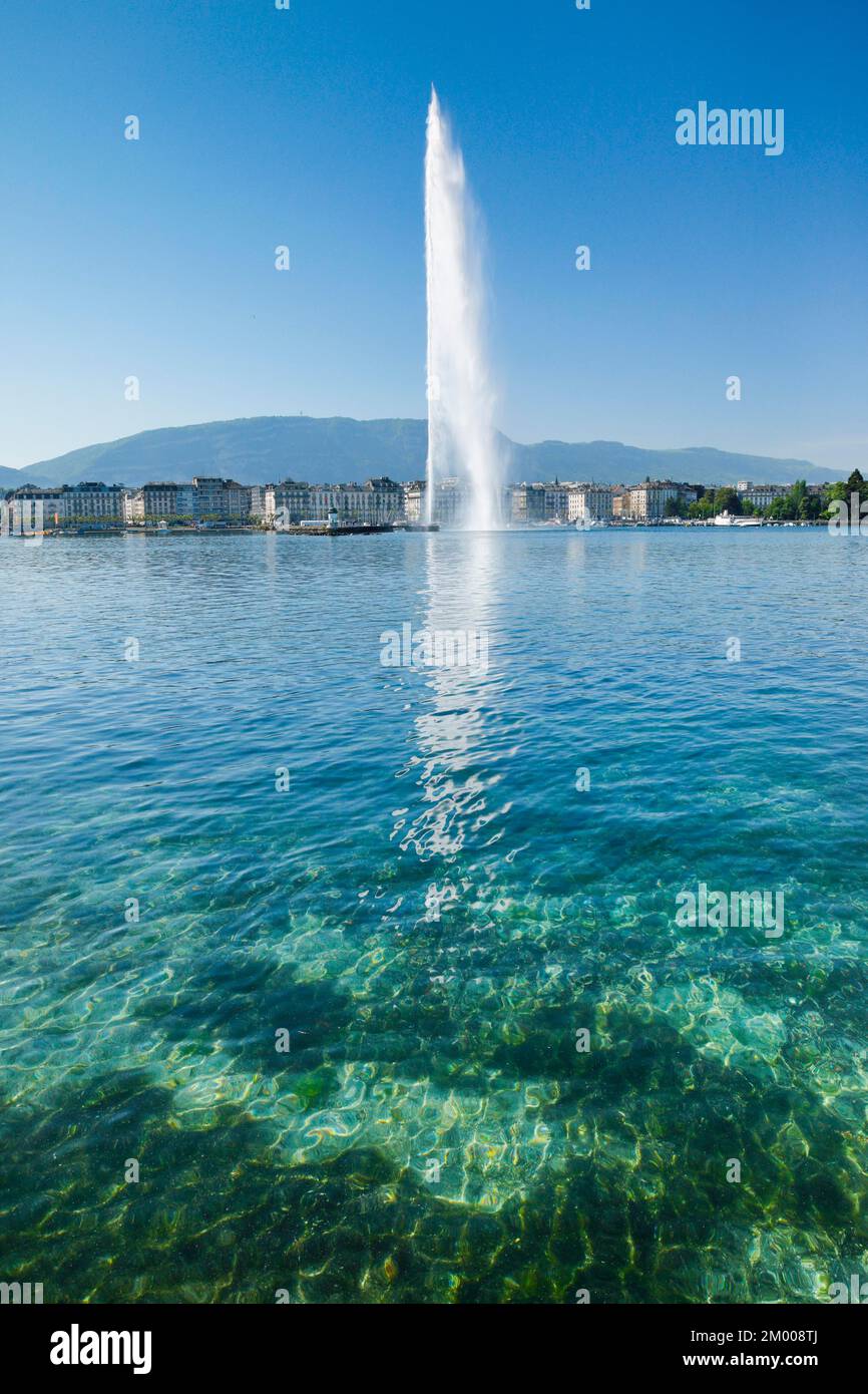 Il Jet d'eau, il punto di riferimento nel bacino del Lago di Ginevra, Cantone di Ginevra, Svizzera, Europa Foto Stock