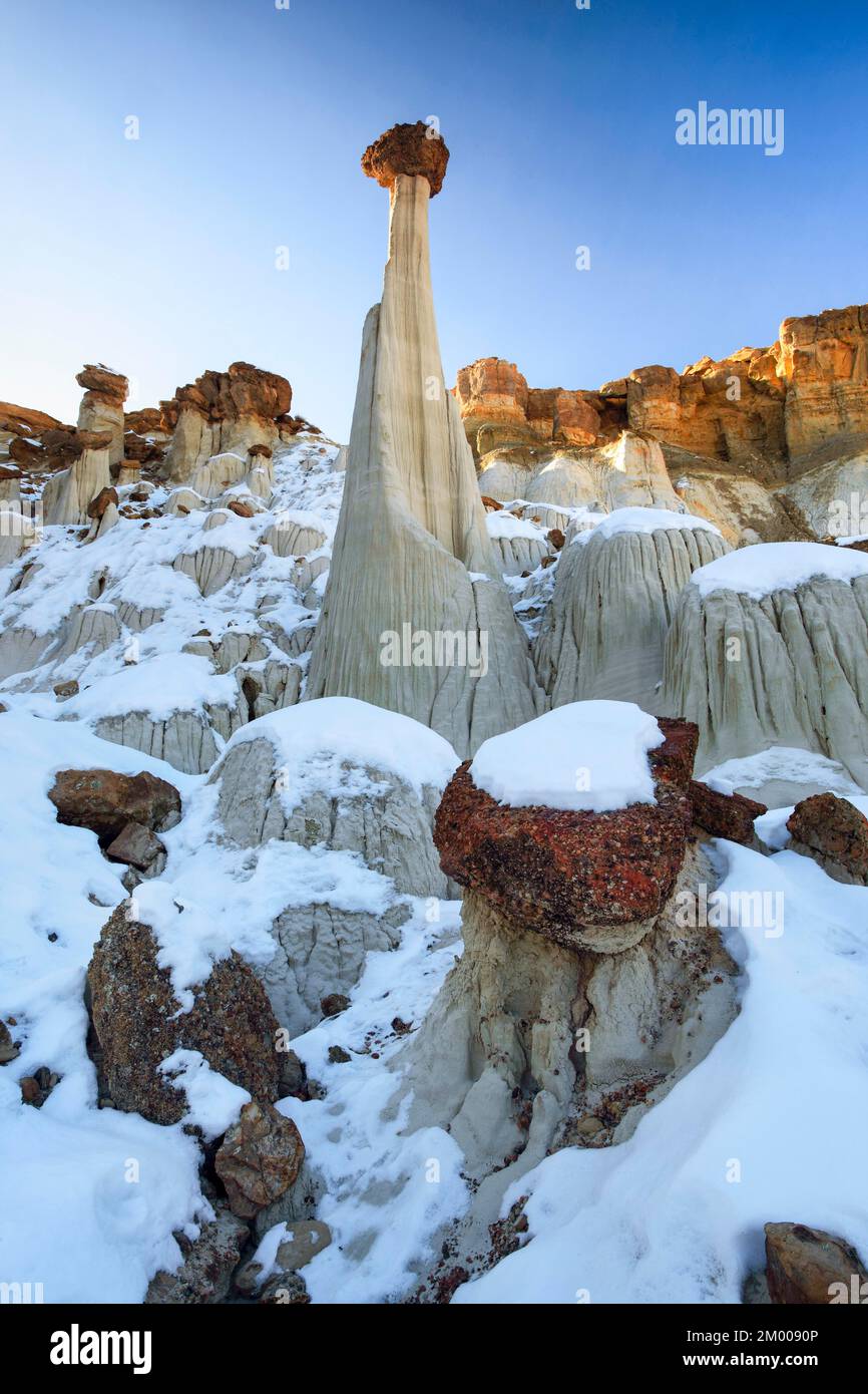 Wahweap Hoodoos, White Hoodoos, sculture in arenaria, Grand Staircase Escalante National Monument, Utah, USA, Nord America Foto Stock