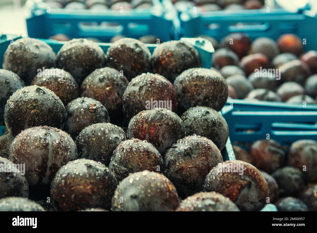 Frutti di prugna nel mercato Foto Stock