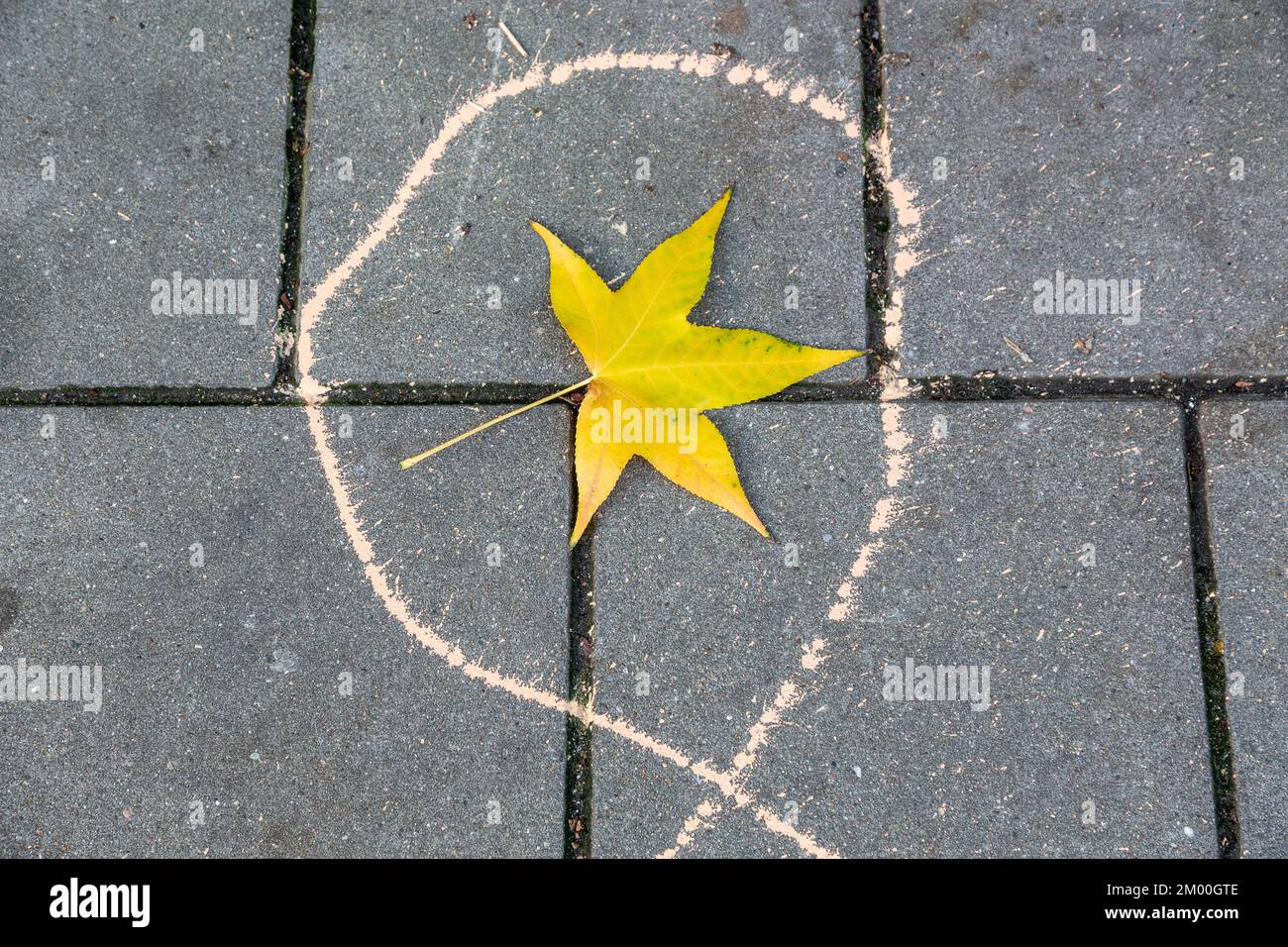 Foglia di acero giallastro caduta al suolo al centro di un segno di gocciolamento di vernice. Bruxelles. Foto Stock