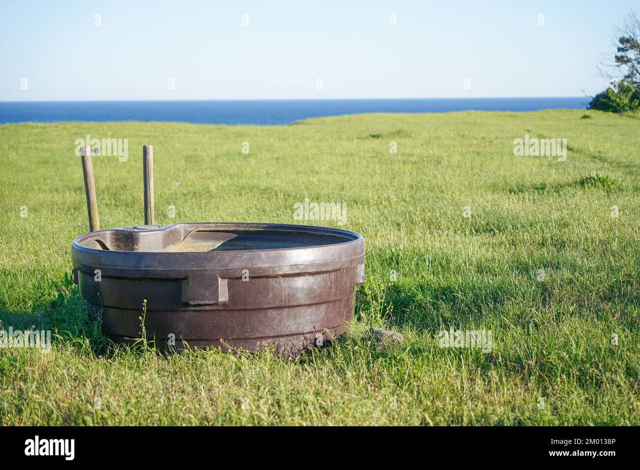 Immagine di grande vasca marrone con acqua potabile per mucche o cavalli presso la fattoria Foto Stock