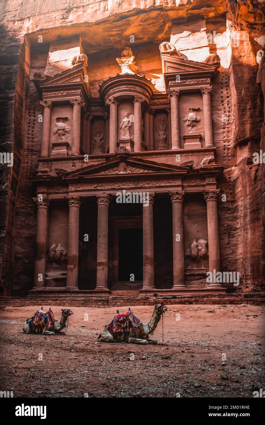 Cammelli di fronte alla facciata del Tesoro al Khazna a Petra Jordan. Foto Stock