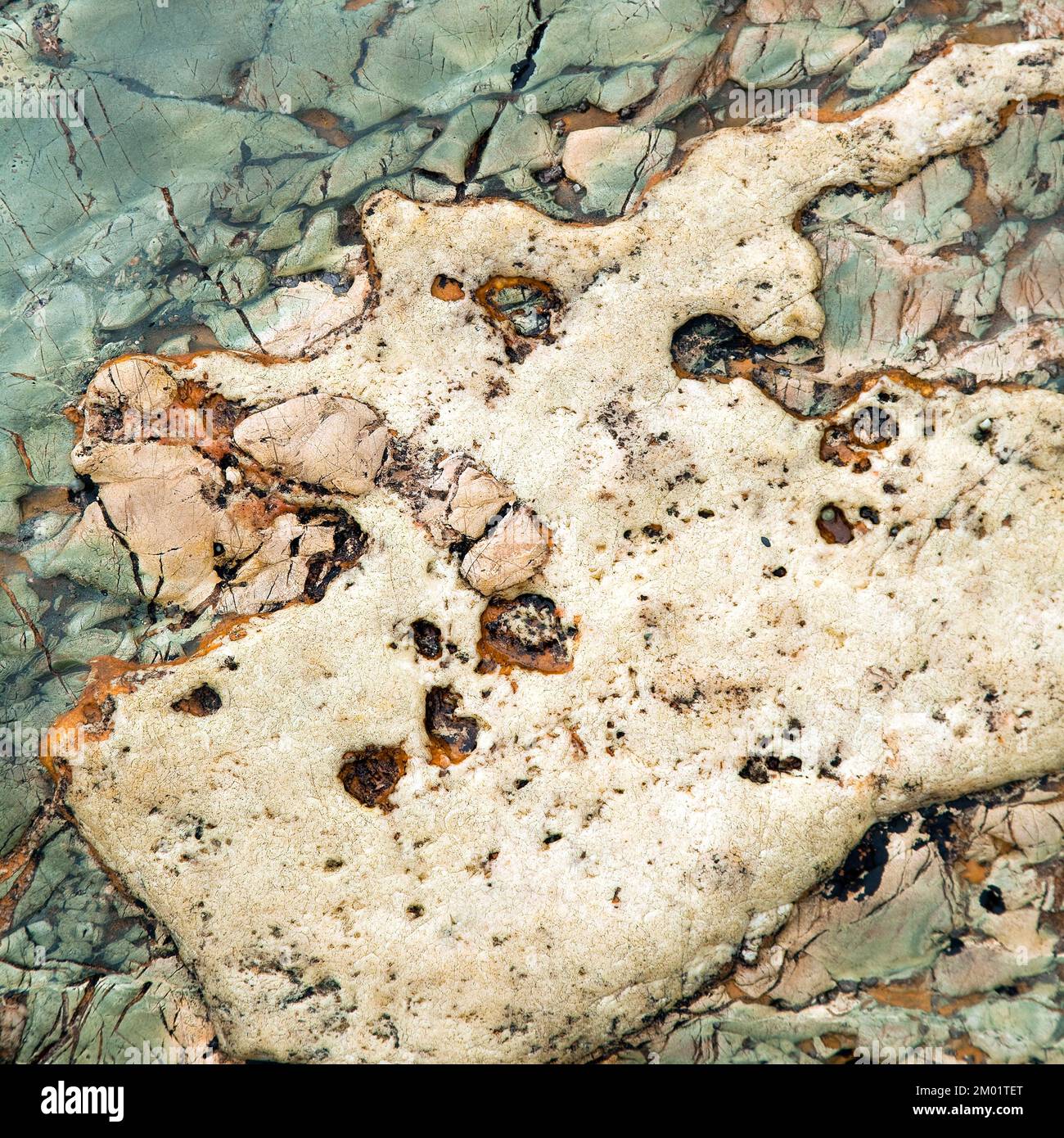 Interesse geologico presso la costa rocciosa di Porth Ysglaig Lleyn Peninsula North Wales UK, estate Foto Stock