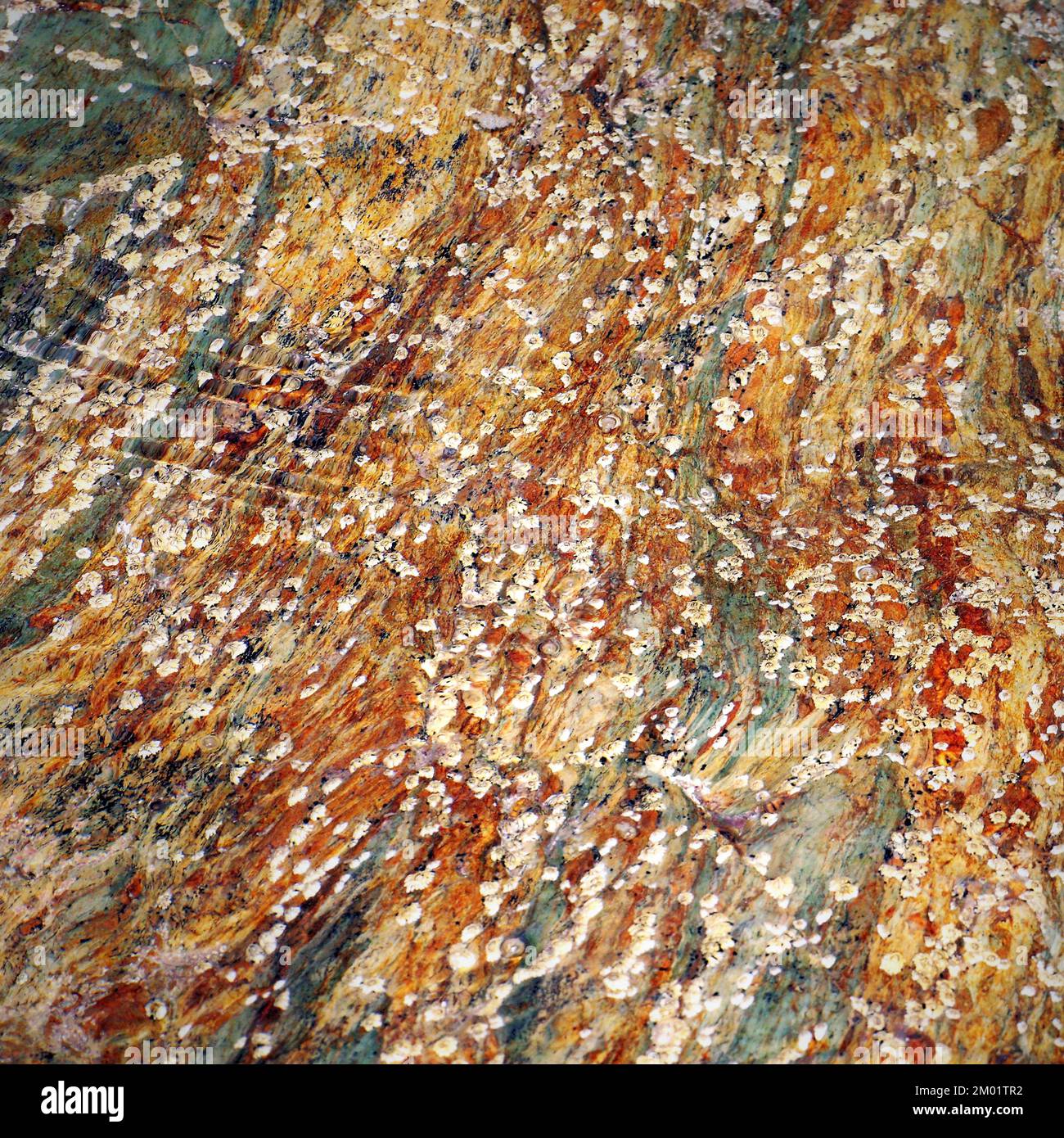 Abstract fotografia a colori della roccia costiere l immagine è un abstract di colore con un vicino impressionismo stile, contenente i modelli di roccia e texture. Foto Stock