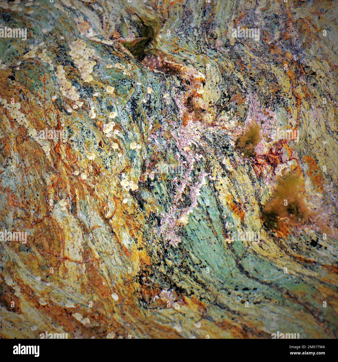 Abstract fotografia a colori della roccia costiere l immagine è un abstract di colore con un vicino impressionismo stile, contenente i modelli di roccia e texture. Foto Stock