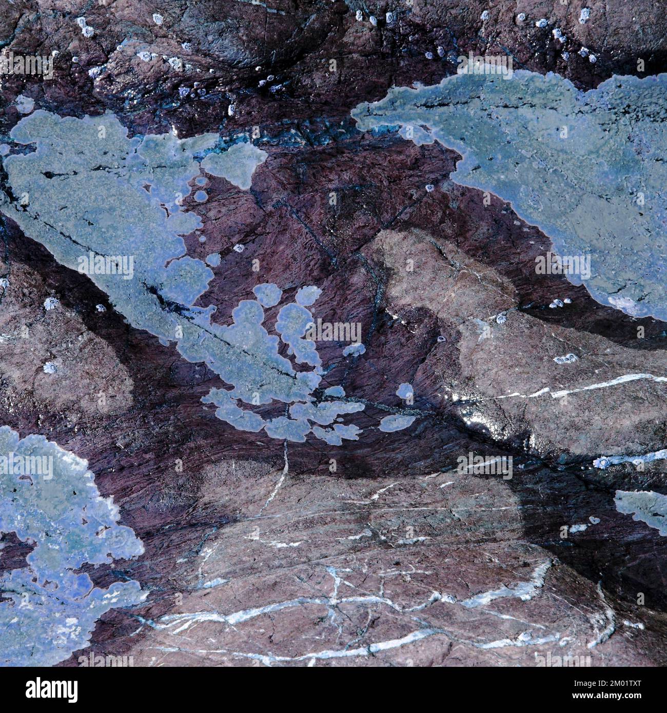 Abstract fotografia a colori della roccia costiere l immagine è un abstract di colore con un vicino impressionismo stile, contenente i modelli di roccia e texture. Foto Stock