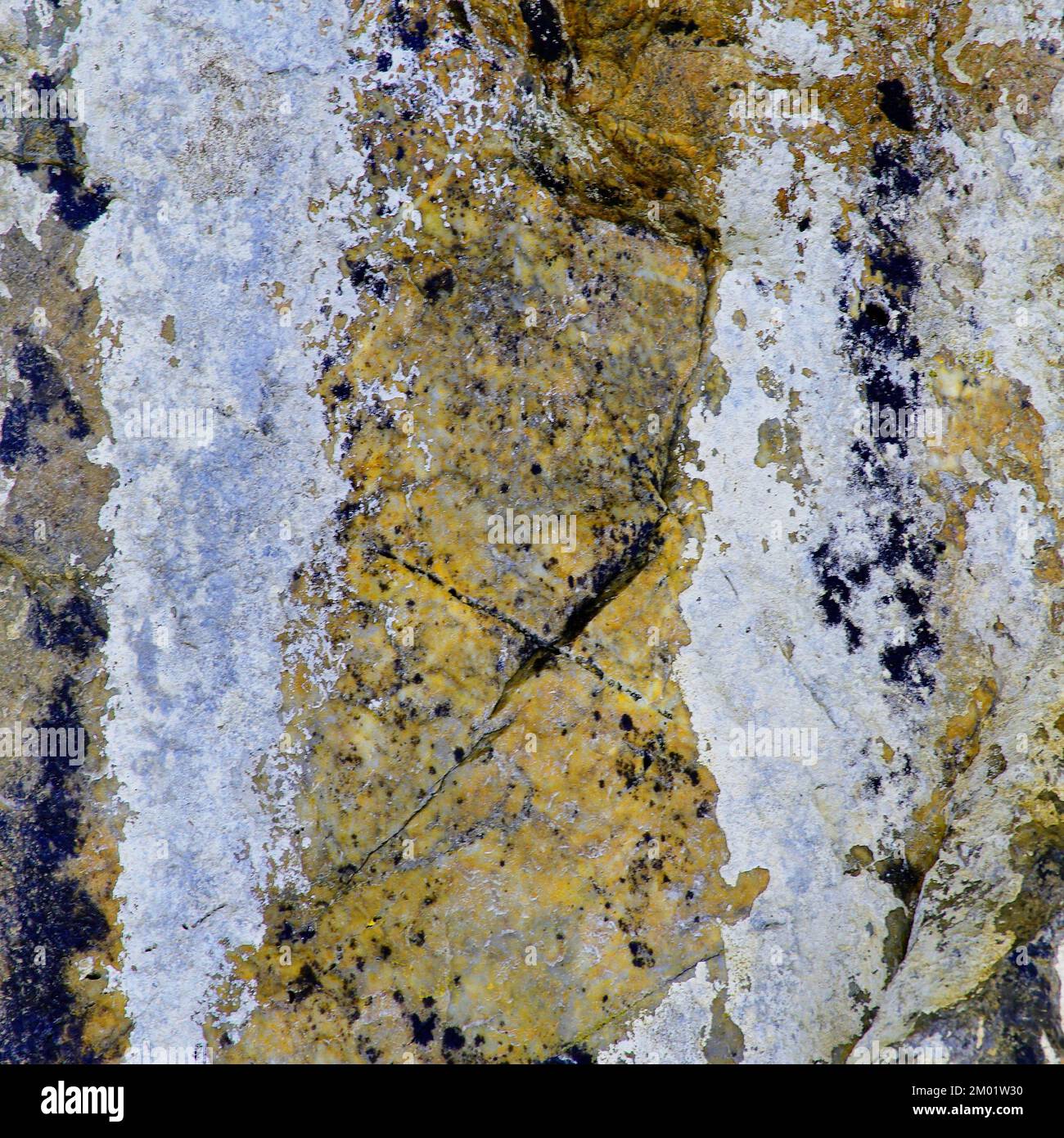 Abstract fotografia a colori della roccia costiere l immagine è un abstract di colore con un vicino impressionismo stile, contenente i modelli di roccia e texture. Foto Stock