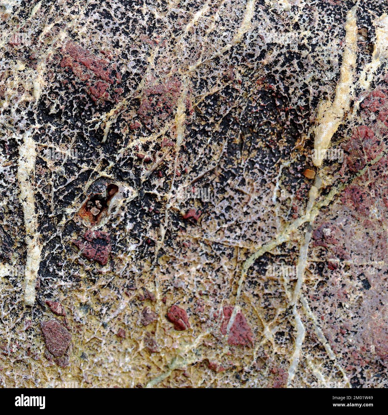 Abstract fotografia a colori della roccia costiere l immagine è un abstract di colore con un vicino impressionismo stile, contenente i modelli di roccia e texture. Foto Stock