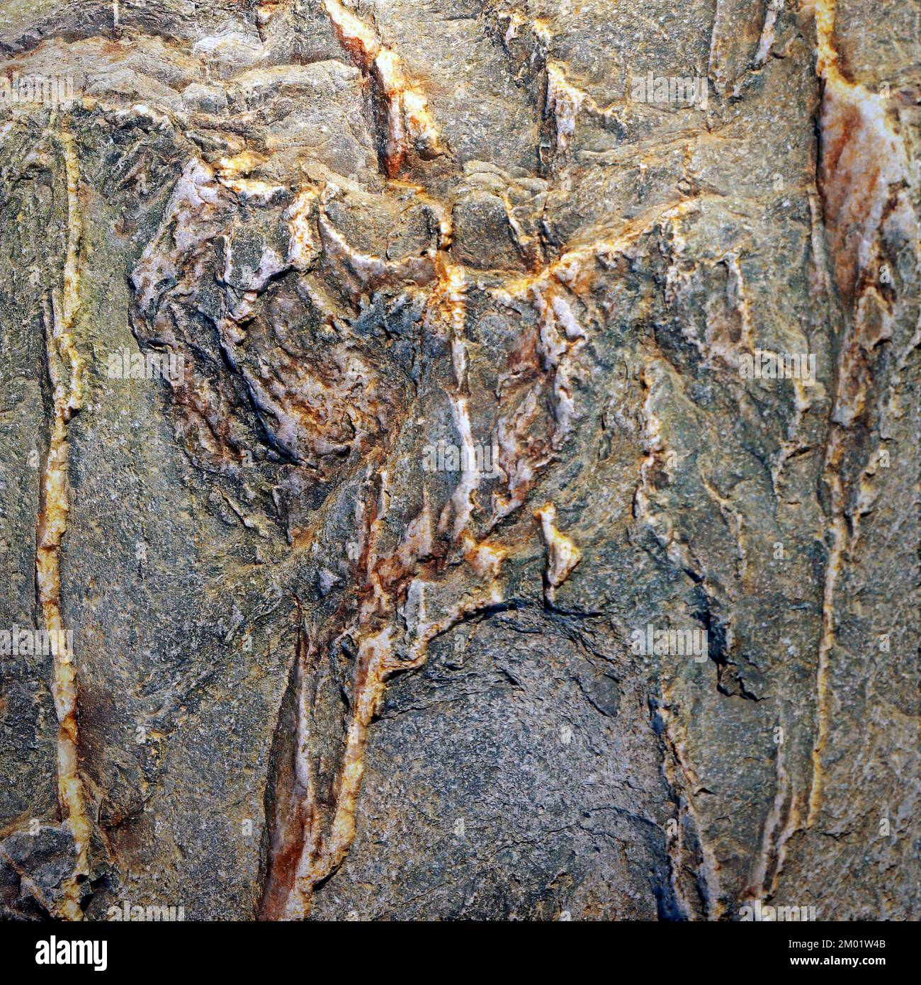 Abstract fotografia a colori della roccia costiere l immagine è un abstract di colore con un vicino impressionismo stile, contenente i modelli di roccia e texture. Foto Stock