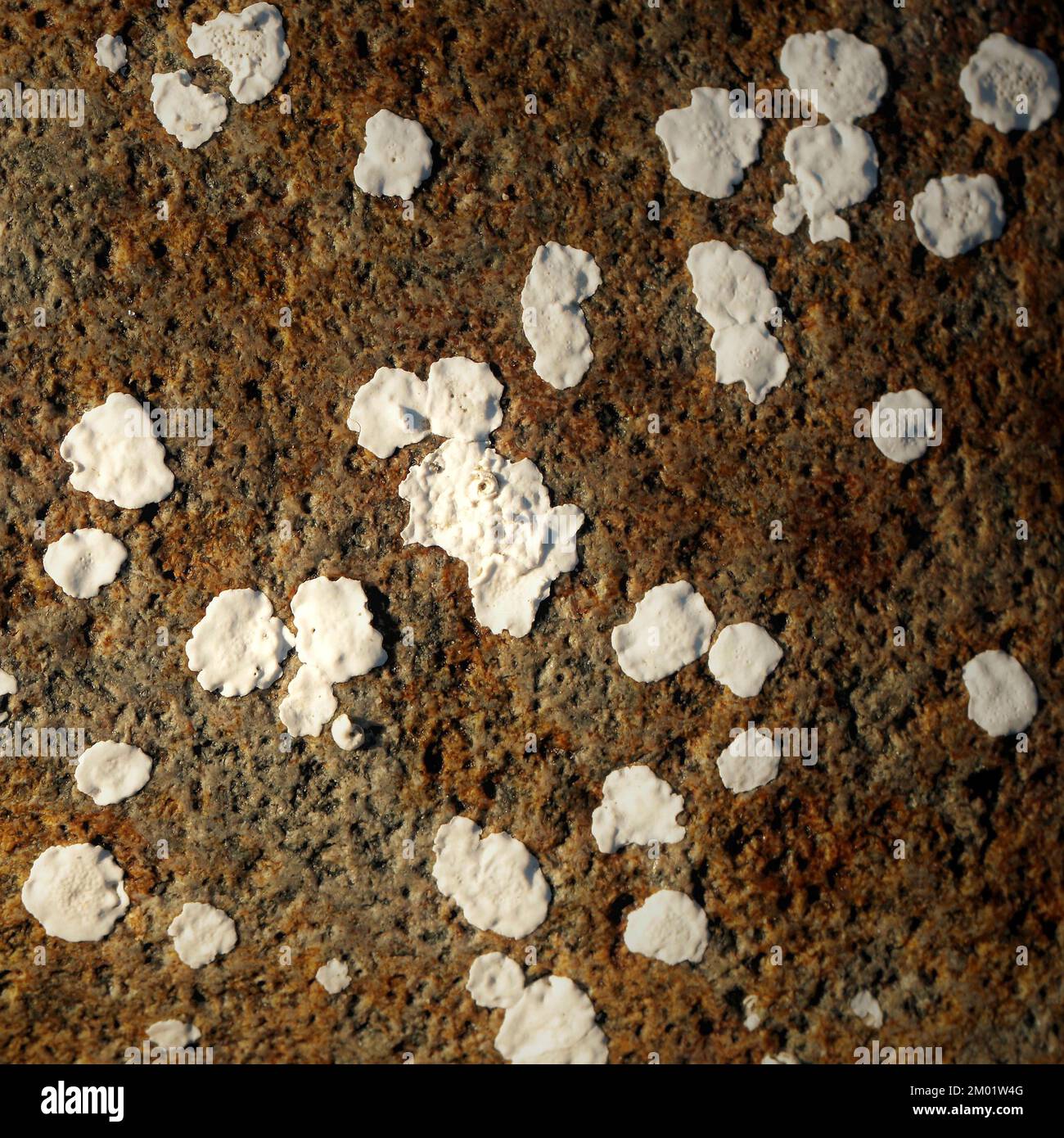 Abstract fotografia a colori della roccia costiere l immagine è un abstract di colore con un vicino impressionismo stile, contenente i modelli di roccia e texture. Foto Stock