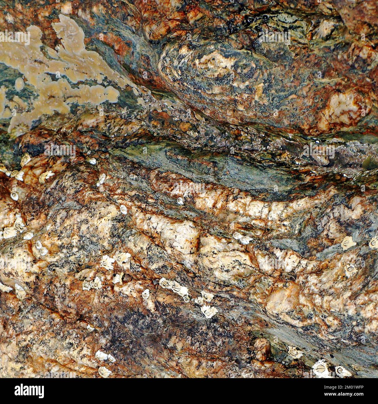 Abstract fotografia a colori della roccia costiere l immagine è un abstract di colore con un vicino impressionismo stile, contenente i modelli di roccia e texture. Foto Stock