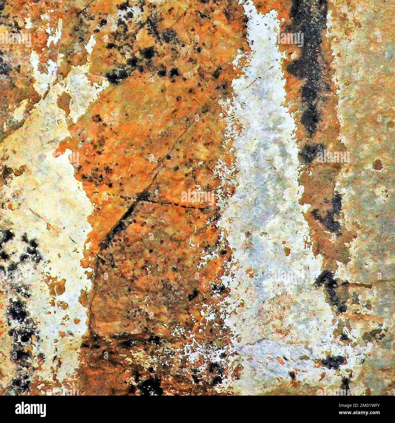 Abstract fotografia a colori della roccia costiere l immagine è un abstract di colore con un vicino impressionismo stile, contenente i modelli di roccia e texture. Foto Stock