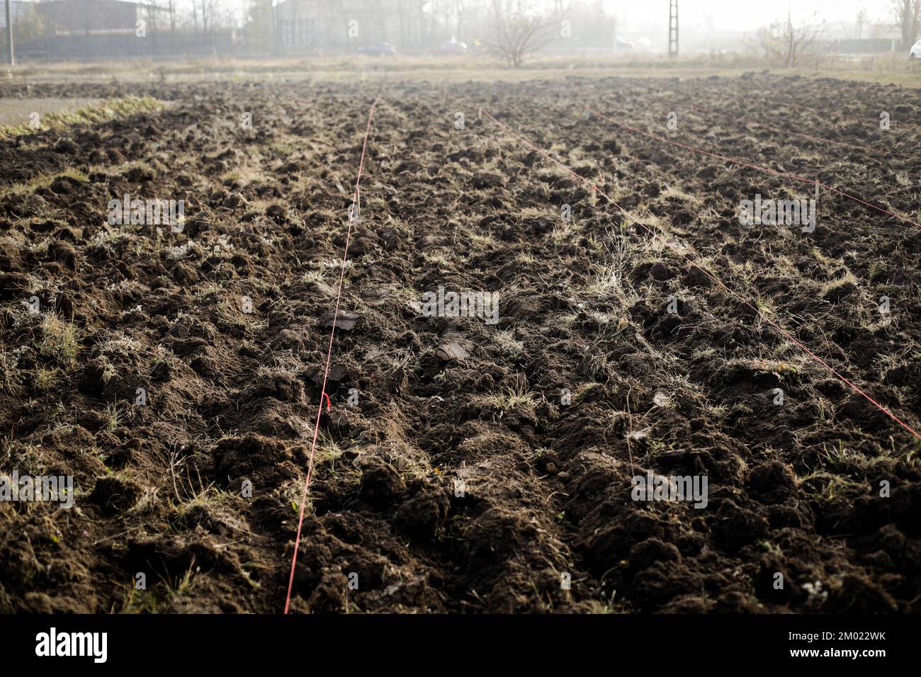 Profondità di campo bassa (fuoco selettivo) dettagli con terreno di dissodamento durante un'attività di piantagione di alberi in un freddo giorno di novembre. Foto Stock