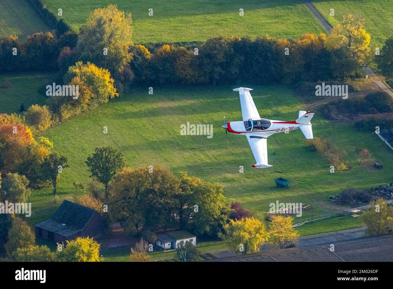 Vista aerea, velivolo in aria, velivolo D-EODG, velivolo D-EODG, SIAI-Marchetti SF-260, velivolo leggero a motore singolo, alberi nei colori autunnali, Heess Foto Stock