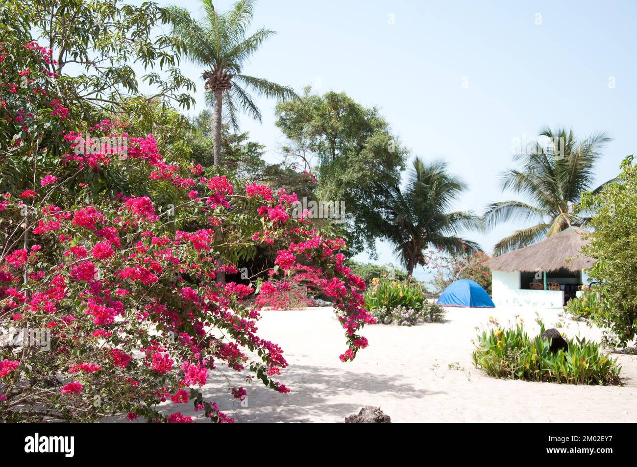 Chez Claude Resort, isola di Joao Viera, Guinea Bissau Foto Stock