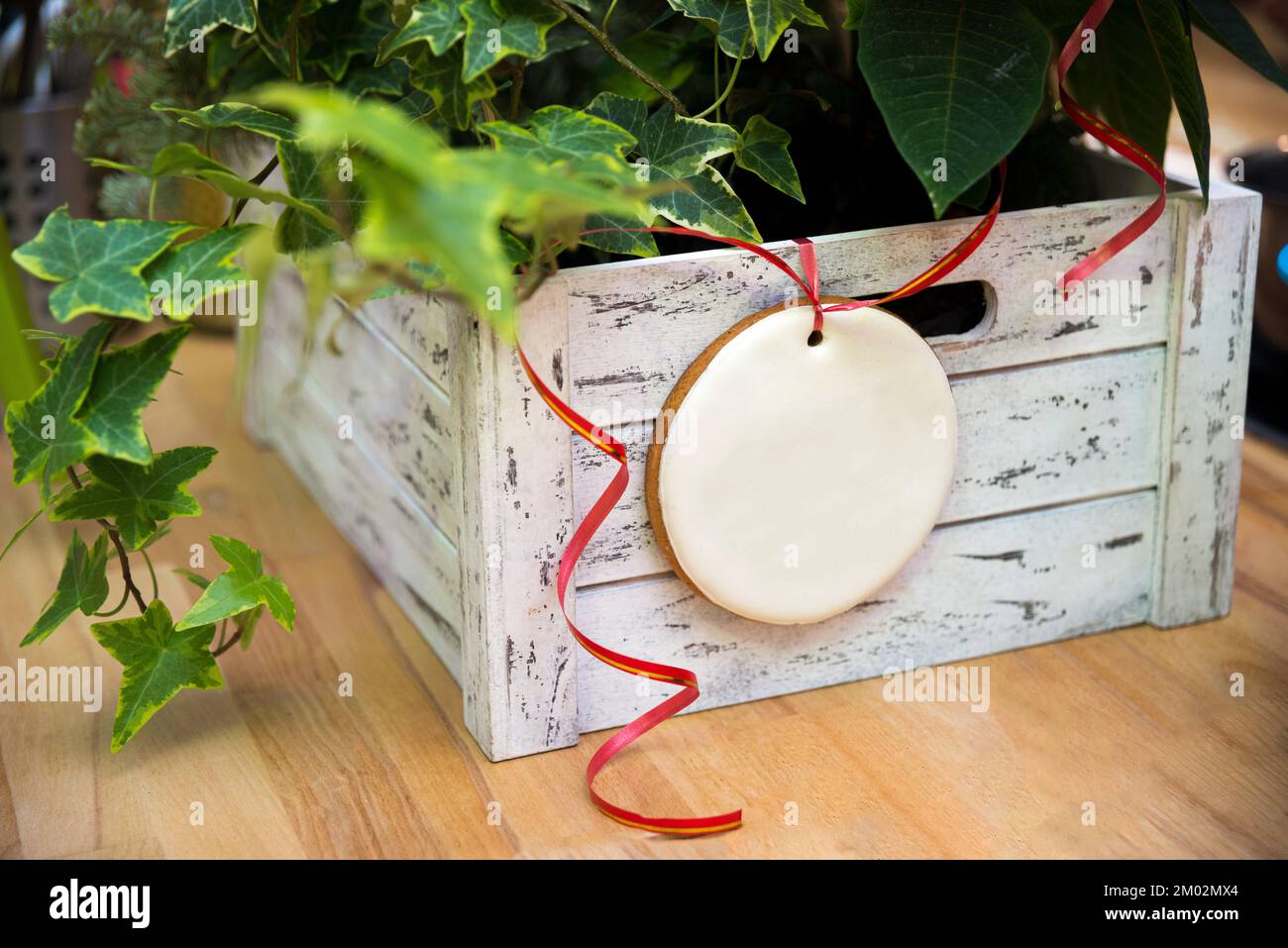 biscotto allo zenzero con glassa appeso sul nastro, su una scatola di legno con una pianta Foto Stock