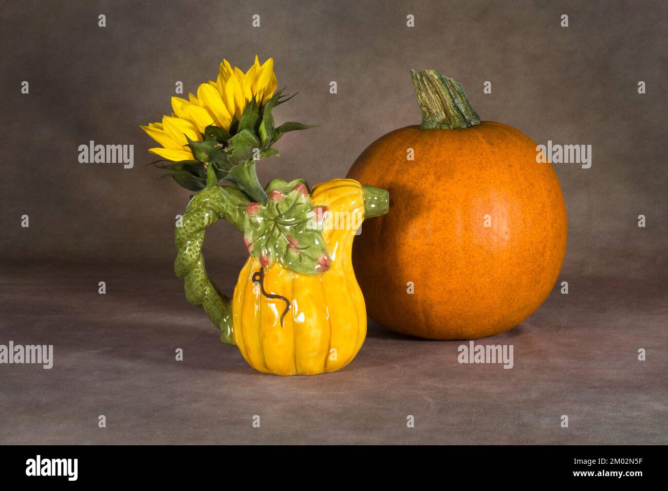 Un solo girasole in una pecora di ceramica o picher, con una zucca torta di zucchero sullo sfondo. Foto Stock