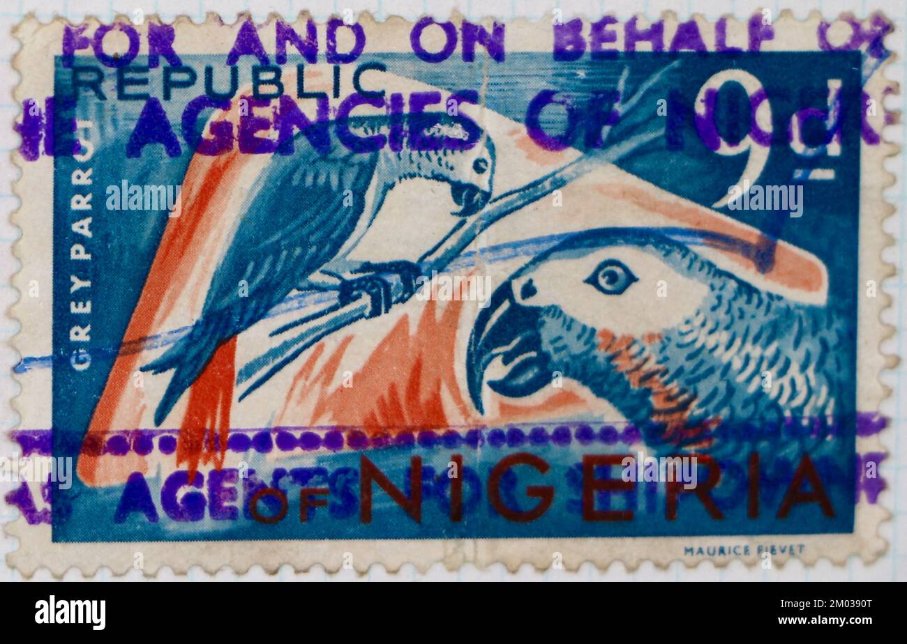Foto di un francobollo nigeriano Grey Parrot Psittacus enthacus Fauna serie 1970 Foto Stock