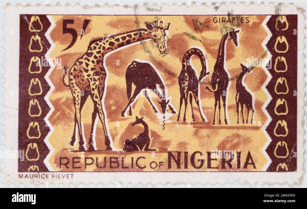 Foto di un francobollo nigeriano Giraffe Giraffa camelopardalis Fauna serie 1972 Foto Stock