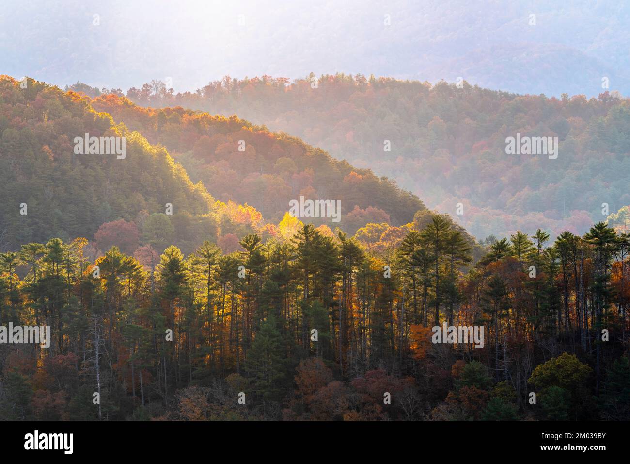 Alba nebulosa, Foothills Parkway. Great Smoky Mountains National Park, TN, USA, fine ottobre, di Dominique Braud/Dembinsky Photo Assoc Foto Stock